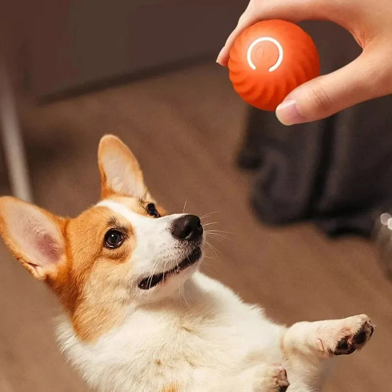Smart Auto-Moving Dog Ball — USB Rechargeable Interactive Bouncing Toy | TS2K Puppies