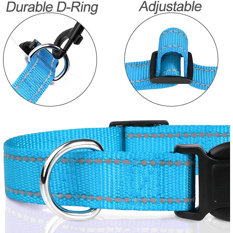 Decorative Dog Collar | Adjustable & Stylish for Small & Medium Dogs