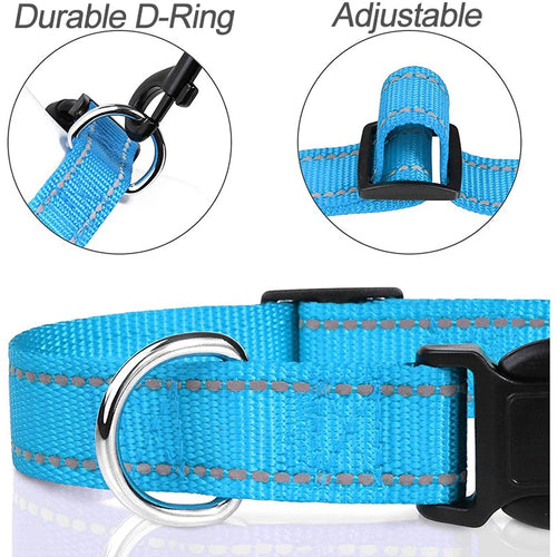 Decorative Dog Collar | Adjustable & Stylish for Small & Medium Dogs