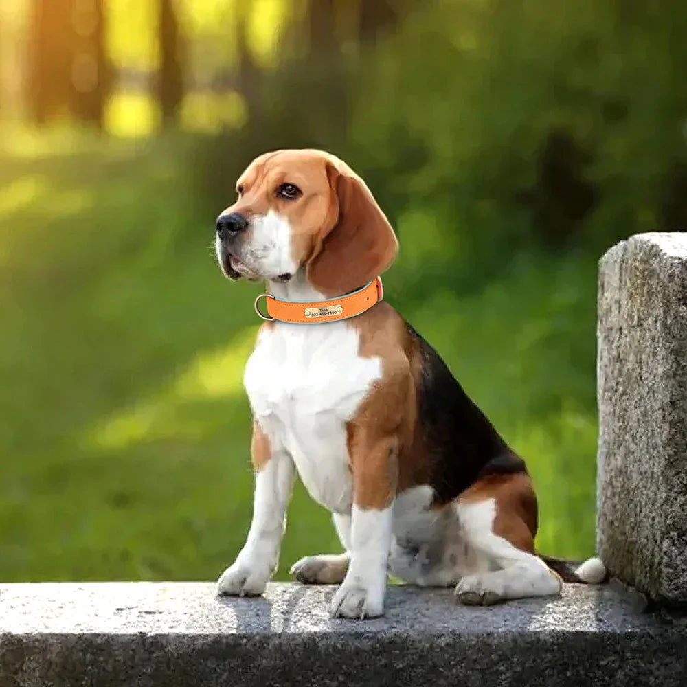 Personalized PU Leather Dog Collar — Free Engraved Name Plate