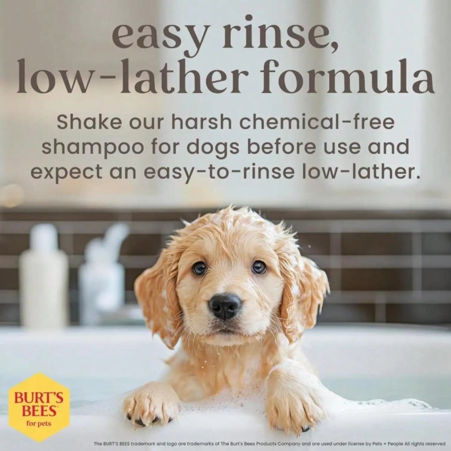 TS2K Puppies Tear-Free Puppy Shampoo & Conditioner