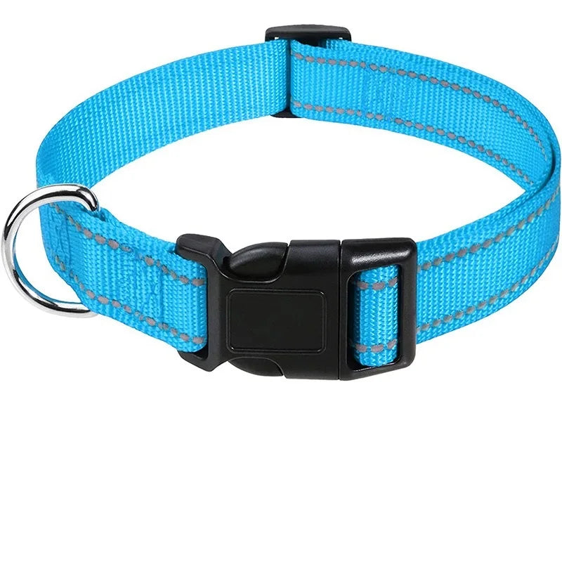 Decorative Dog Collar | Adjustable & Stylish for Small & Medium Dogs