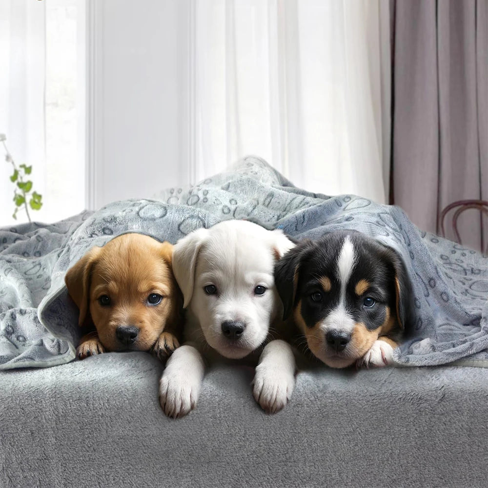 Puppy Blanket — Ultra-Soft Paw Print Pet Blanket for Dogs & Cats