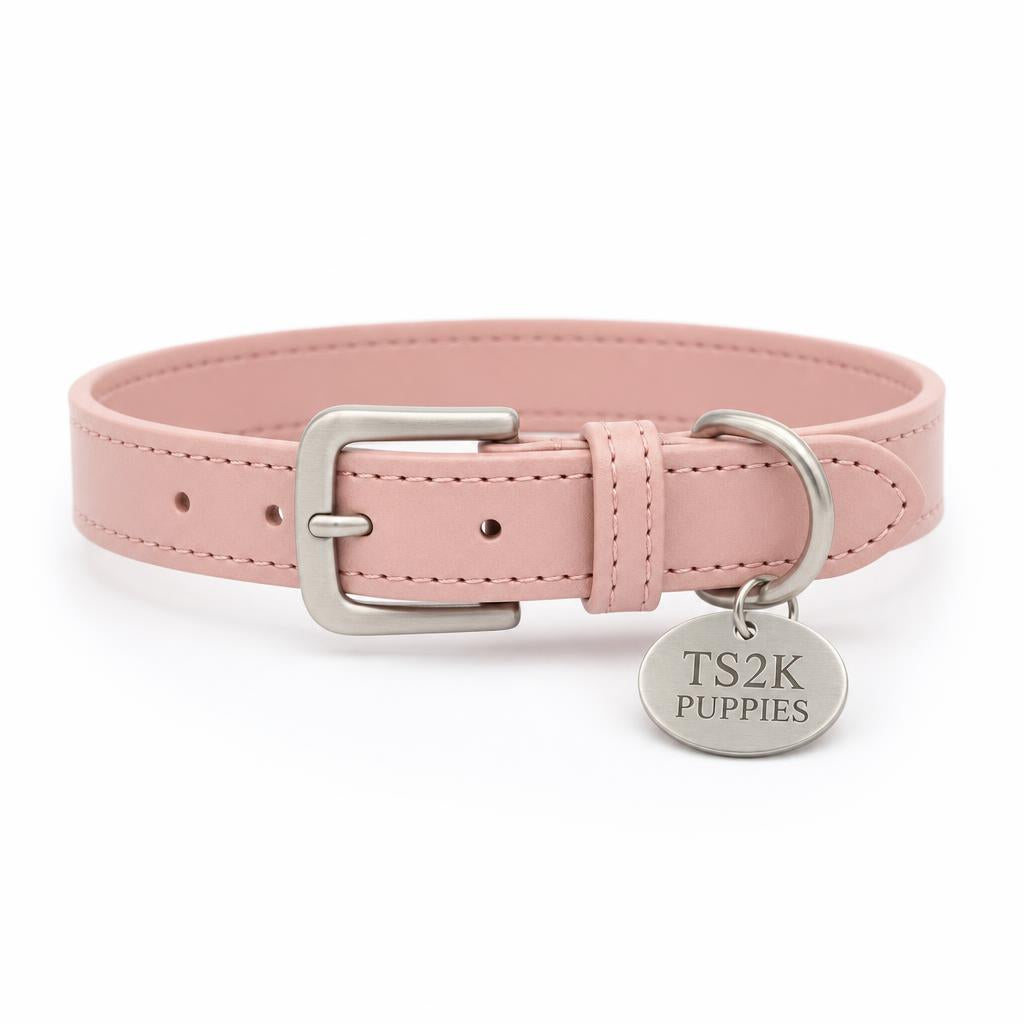 TS2K Puppies Engraved Collar