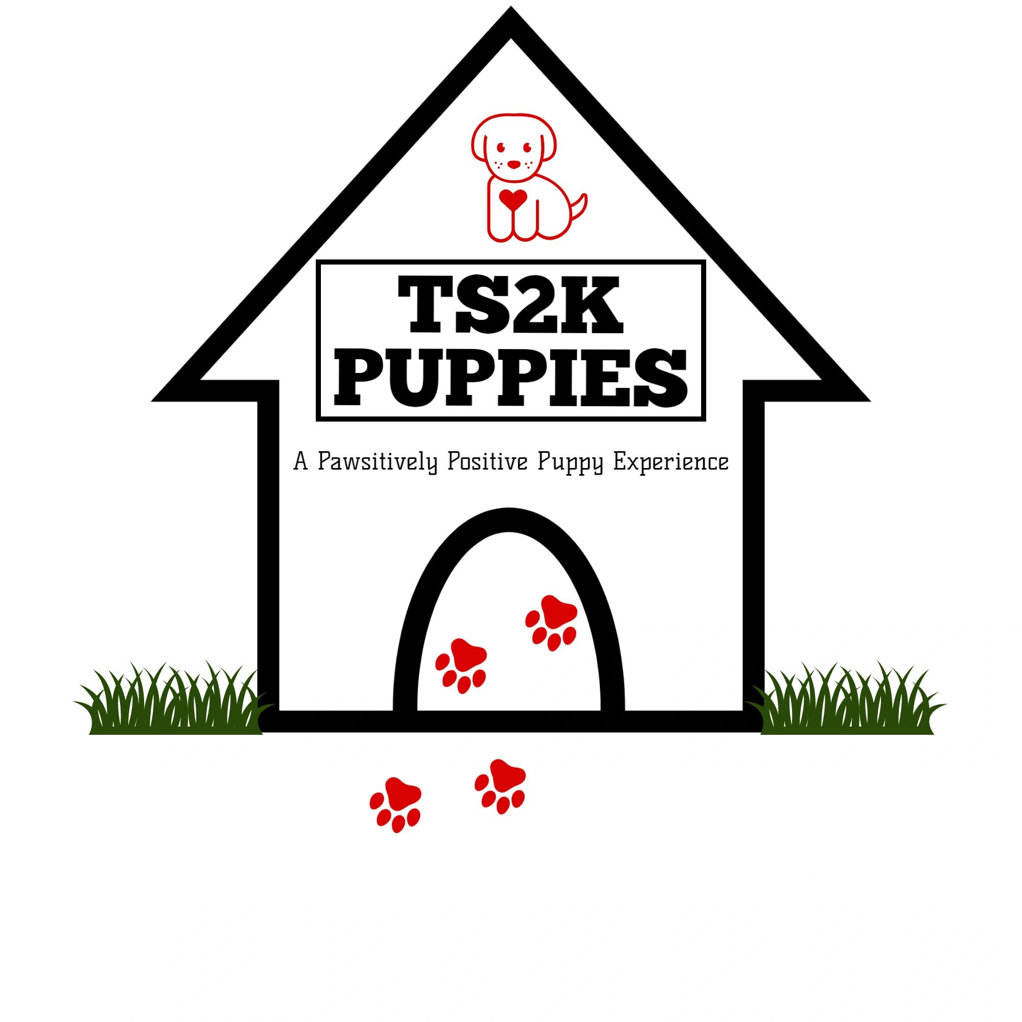 TS2K Puppies White Beanie