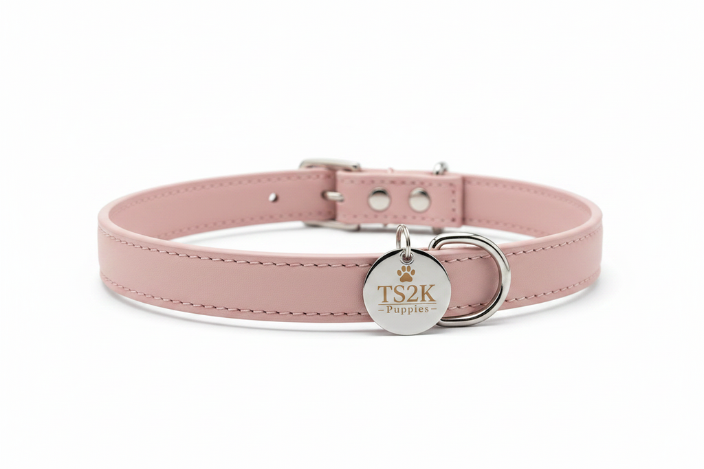 TS2K Puppies Engraved Collar
