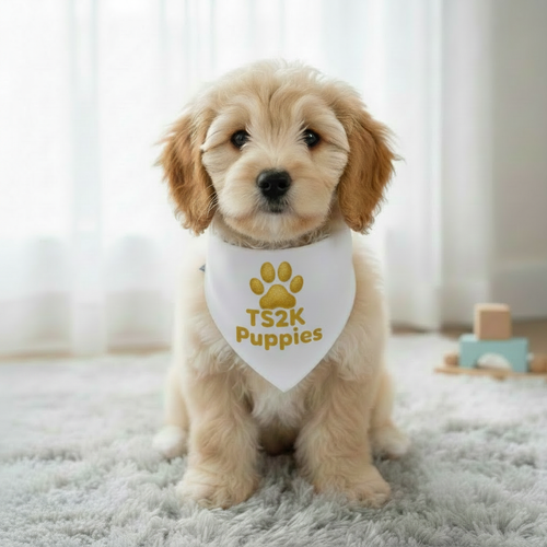 TS2K Puppies Dog Bandana - Detailed Paw Print